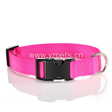 Colorful Nylon Dog Collar